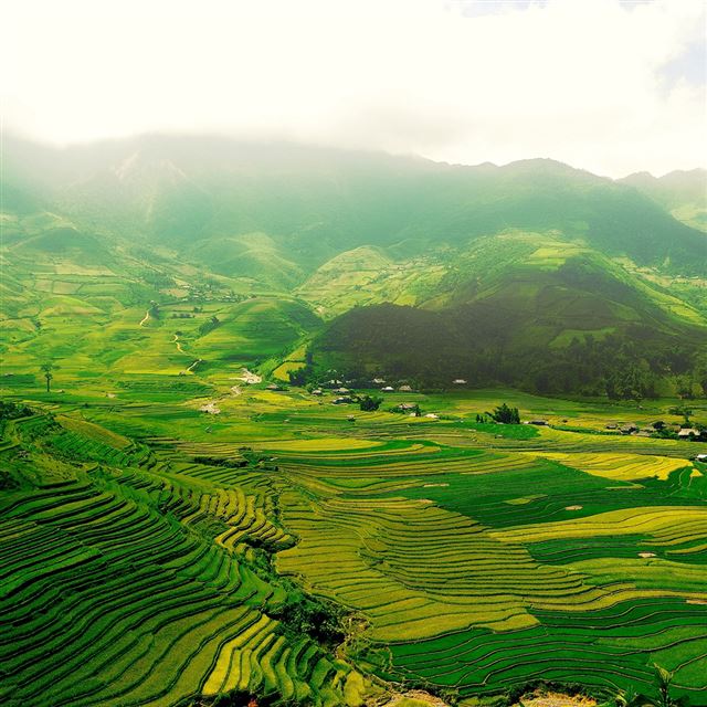 1024x1024 The green fields - fields iPad Wallpaper