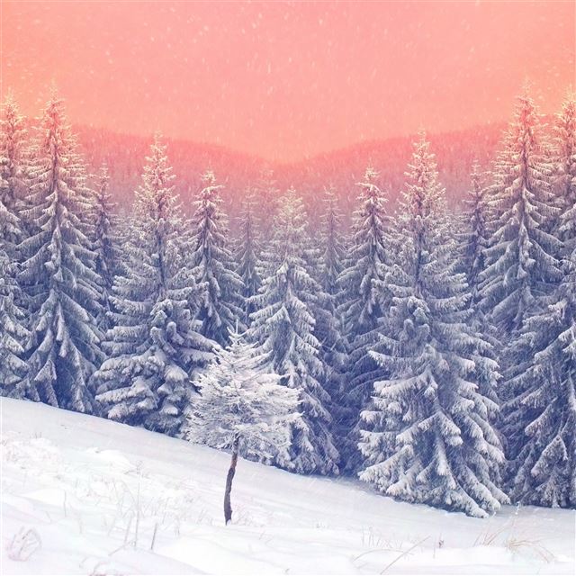 1024x1024 landscape snow trees 5k - trees iPad Wallpaper