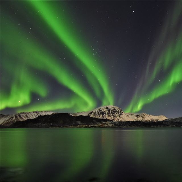1024x1024 aurora across the bay lofoten 5k - 4k iPad Wallpaper