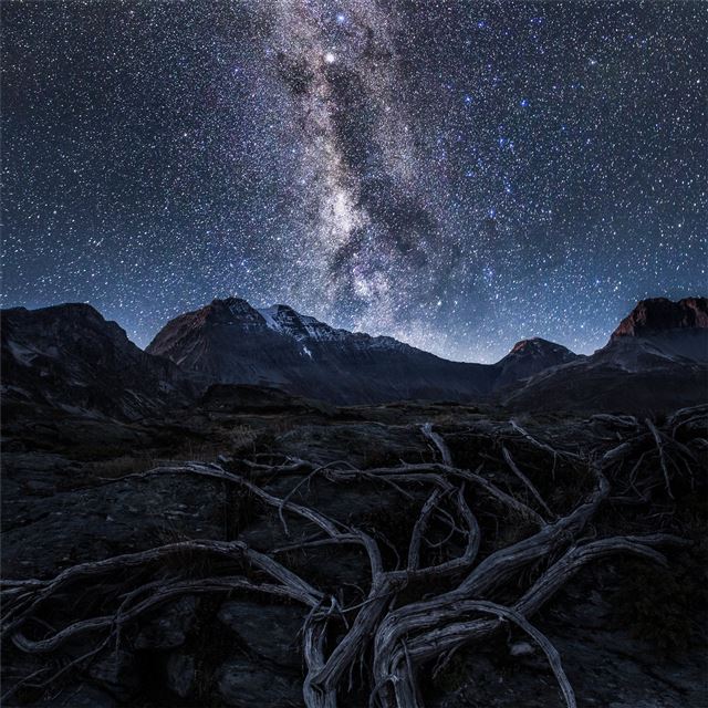 1024x1024 nightscape alpine aps cold 5k - stars iPad Wallpaper