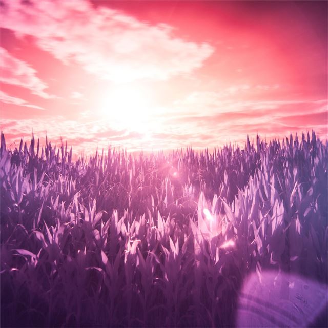 1024x1024 field scenery 5k - 4k iPad Wallpaper