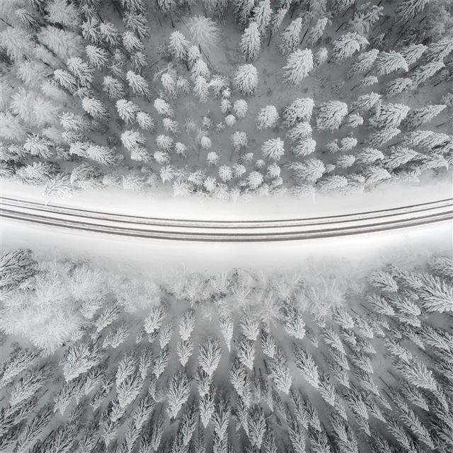 1024x1024 winter road 4k - winter iPad Wallpaper