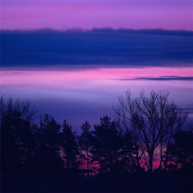 1024x1024 clouds forest landscape lilac purple serene sunris... - 5k iPad Wallpaper