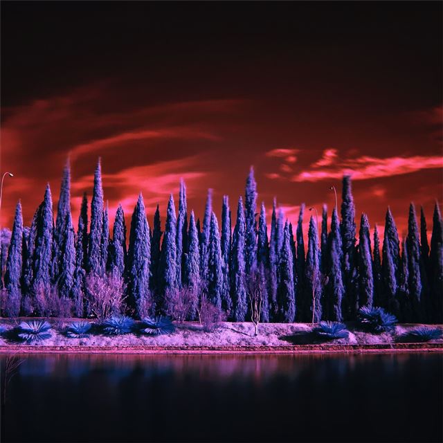 1024x1024 red sky under purple trees 4k - trees iPad Wallpaper