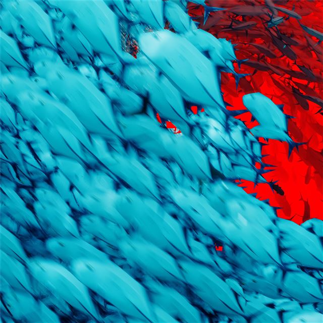 1024x1024 blue red texture abstract 5k - texture iPad Wallpaper