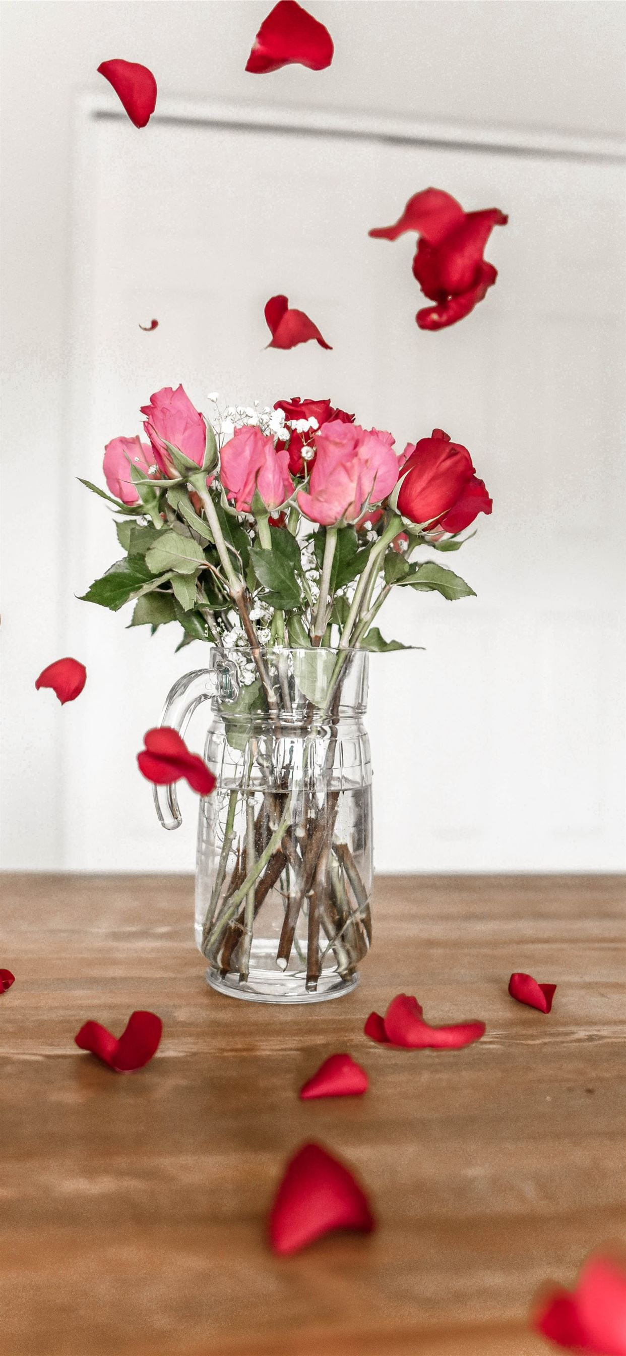 pink and red roses on clear glass vase iPhone 11 Wallpapers Free Download