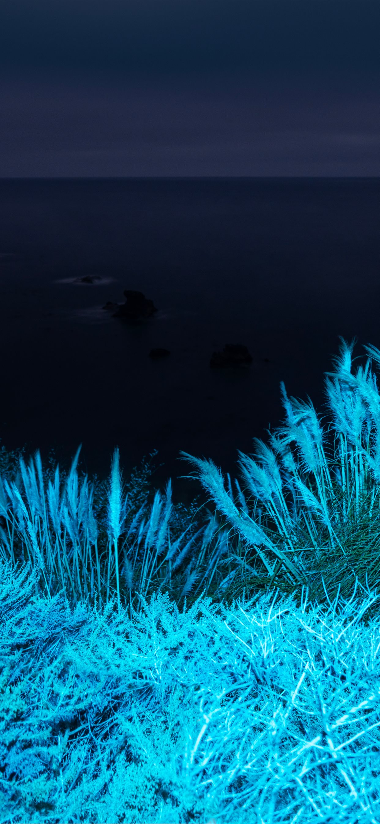 Big Sur Grasses by AR7 iPhone wallpaper 