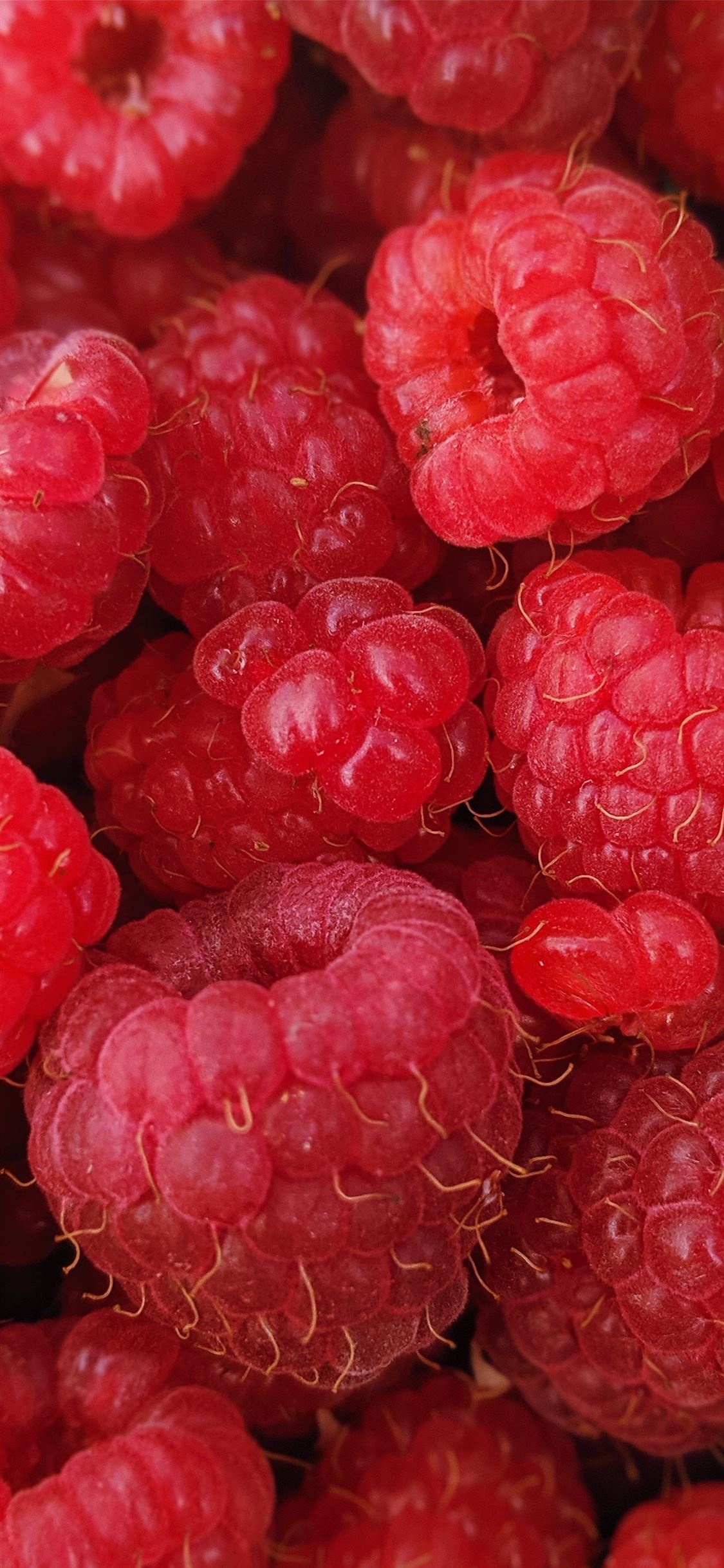 macro photography of raspberry fruits iPhone wallpaper 
