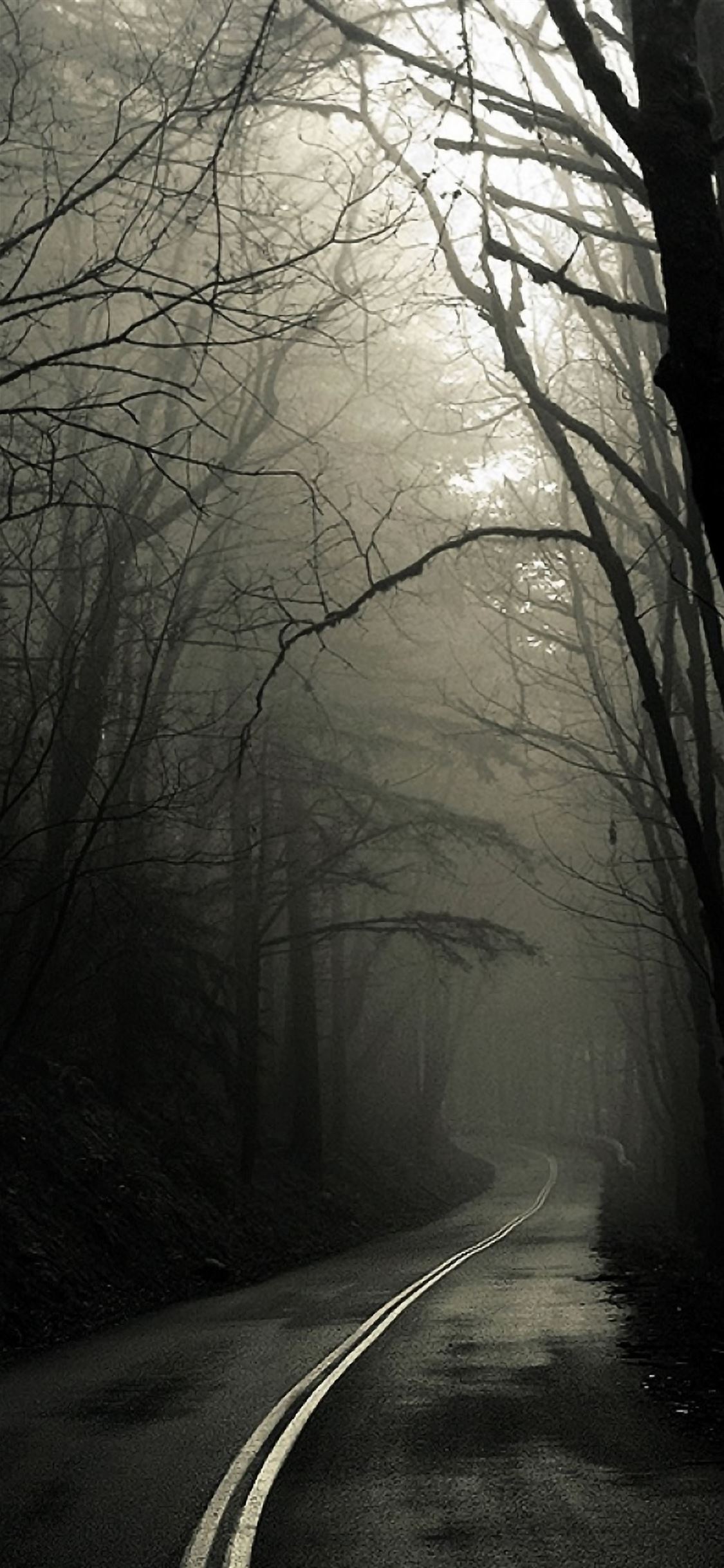 Dark Road Forest iPhone wallpaper 