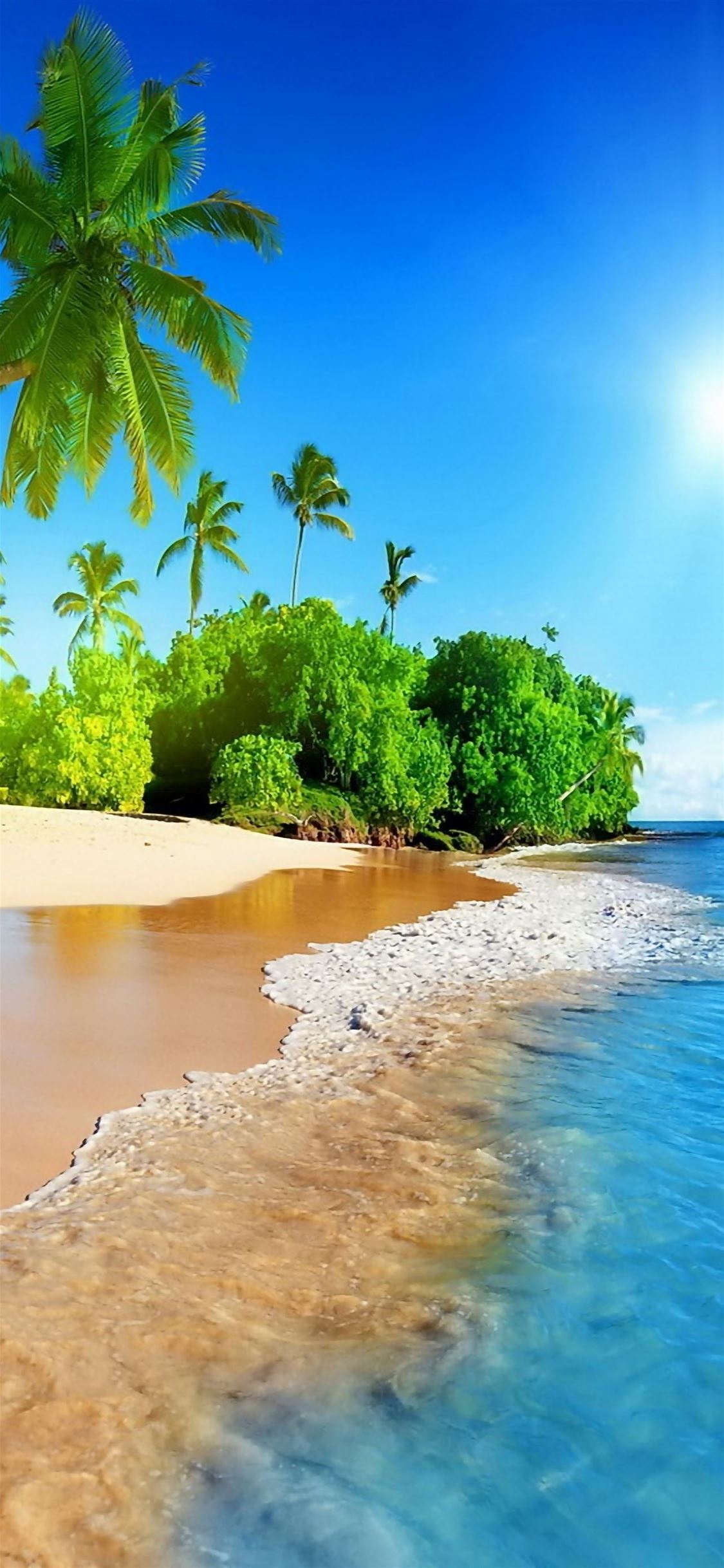 tropical island iPhone wallpaper 