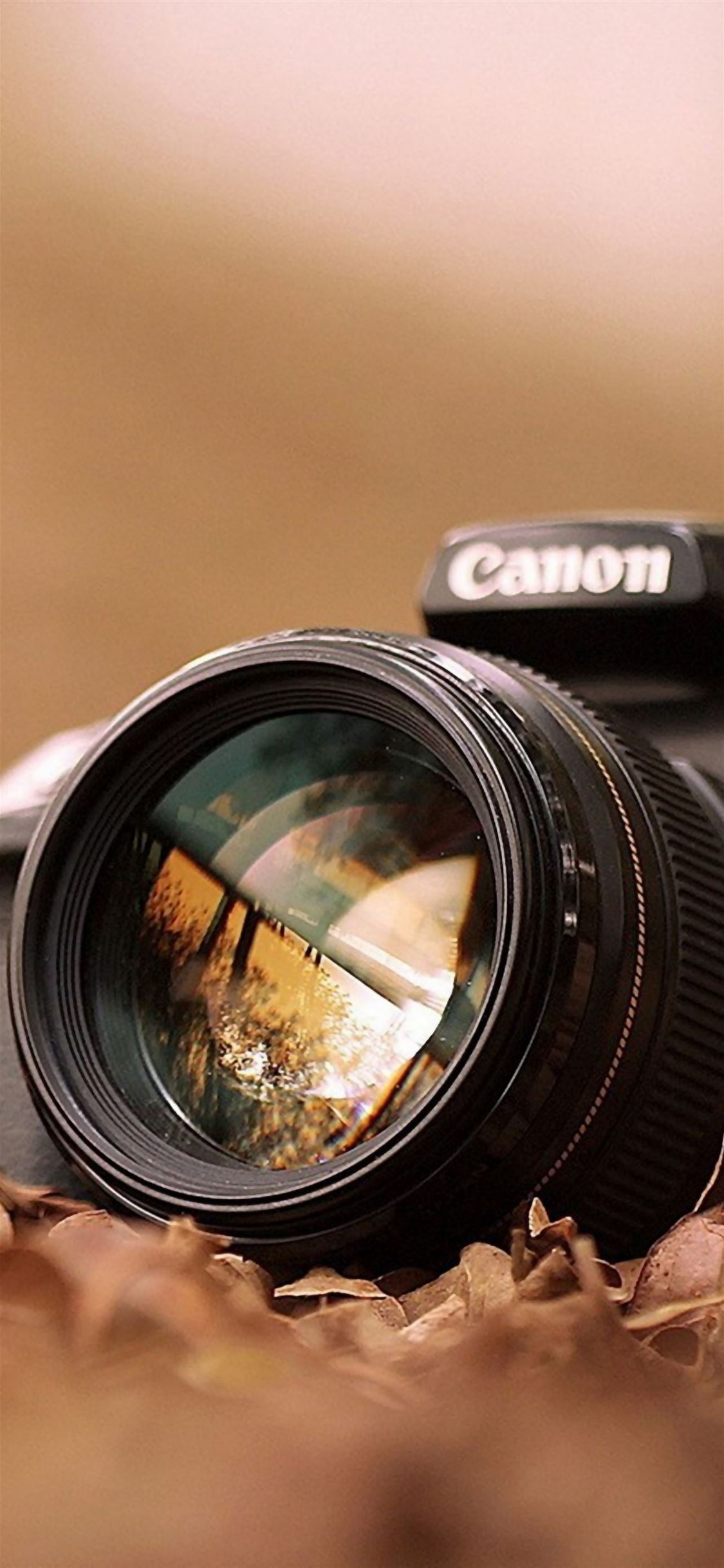 Canon Camera Macro Fall Leaves iPhone wallpaper 