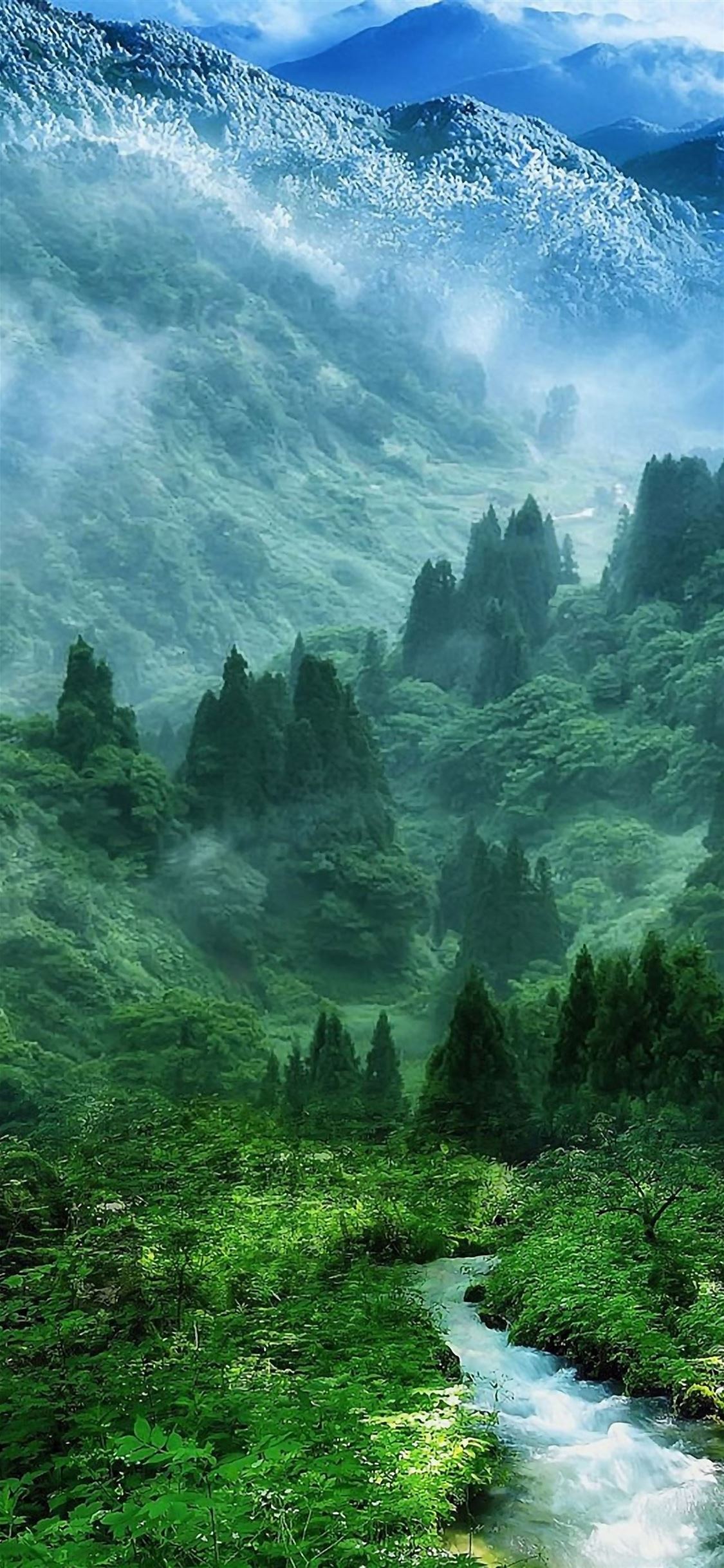 Nature Mist Mountain Wood Forest River Landscape iPhone wallpaper 