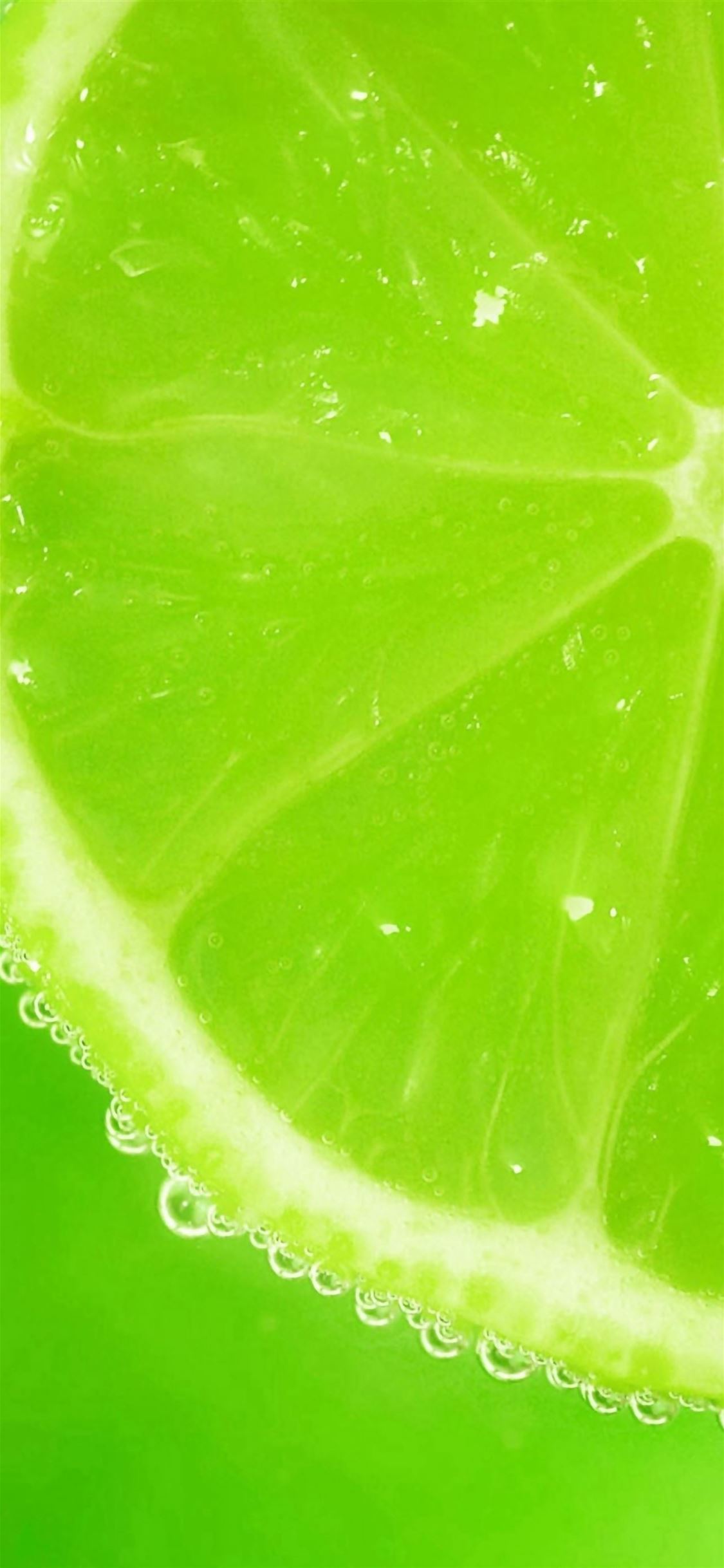 Fresh Lemons Slice Dew iPhone wallpaper 