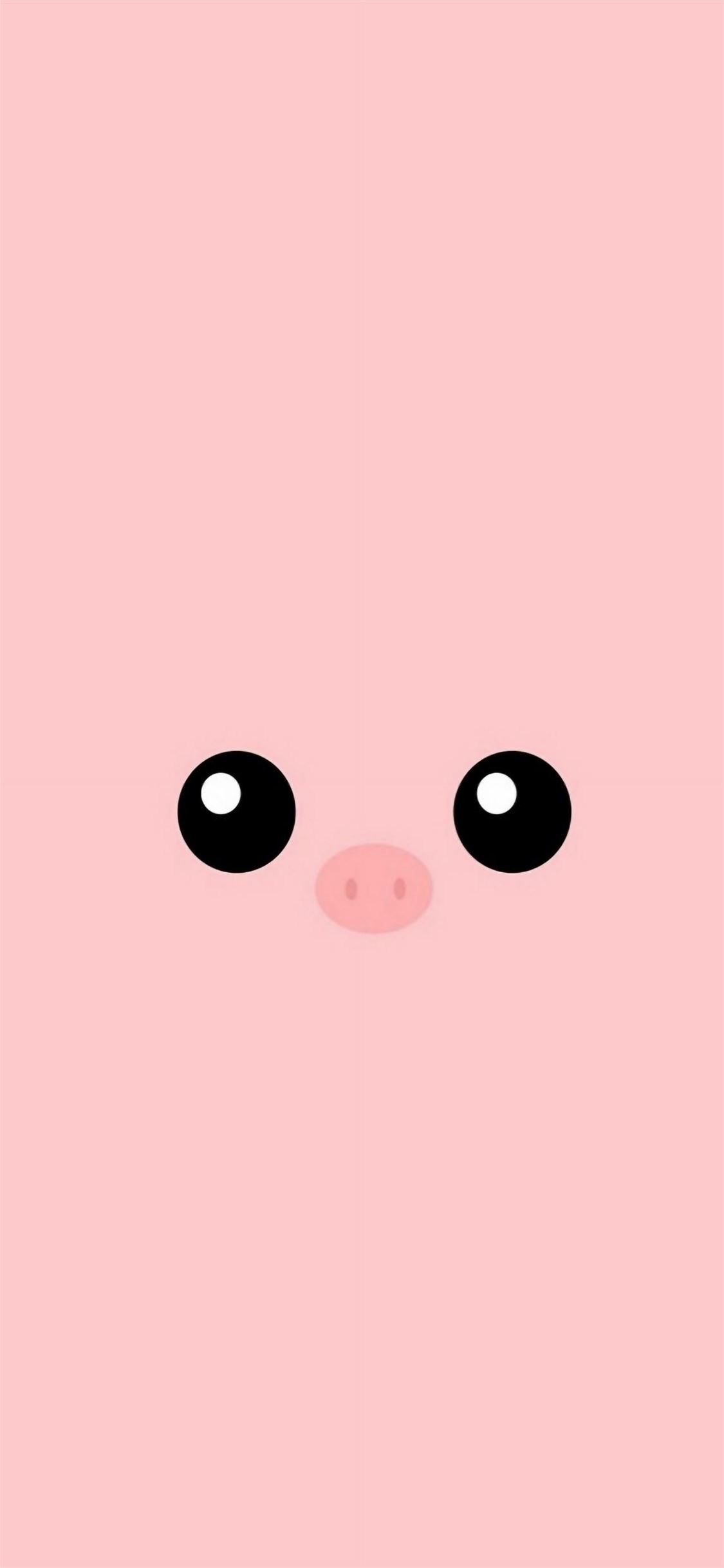 Minimal Pink Piggy Cute Eyes  iPhone wallpaper 