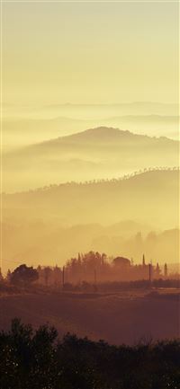 landscape mountain range trees woodland forest mis... wallpaper