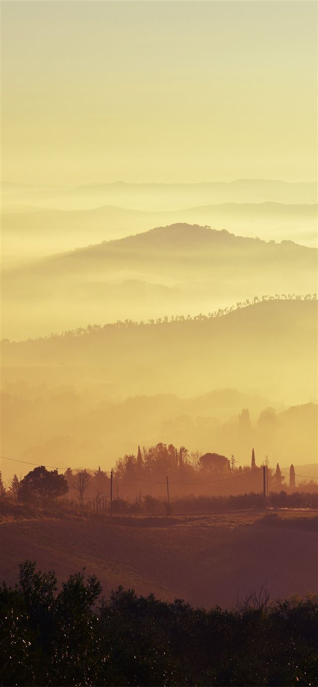 1125x2436 landscape mountain range trees woodland forest mis... - fog iPhone 11 Wallpaper