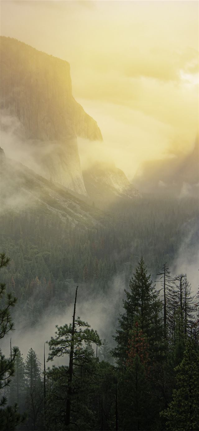 1125x2436 yosemite national park beautiful view 5k - 5k iPhone 11 Wallpaper