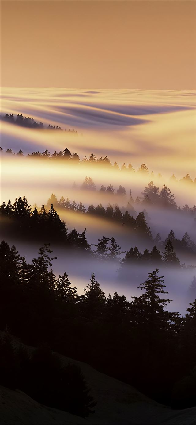 1125x2436 marin county mist morning 4k - 4k iPhone 11 Wallpaper