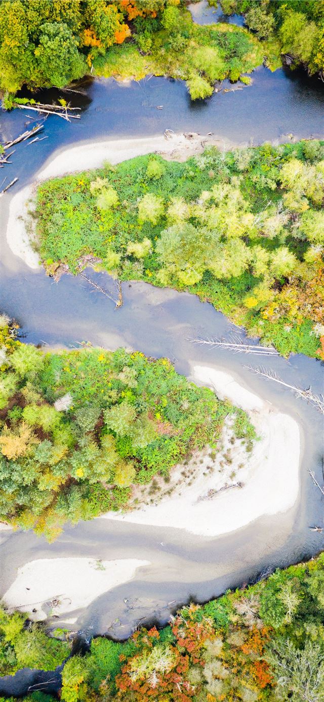 1125x2436 aerial photography of river surrounded by trees - yellow iPhone 11 Wallpaper