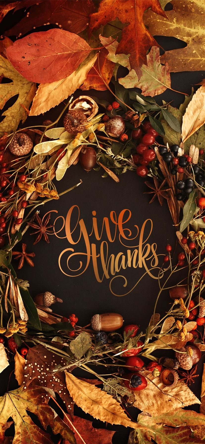 200+] Thanksgiving Wallpapers | Wallpapers.com
