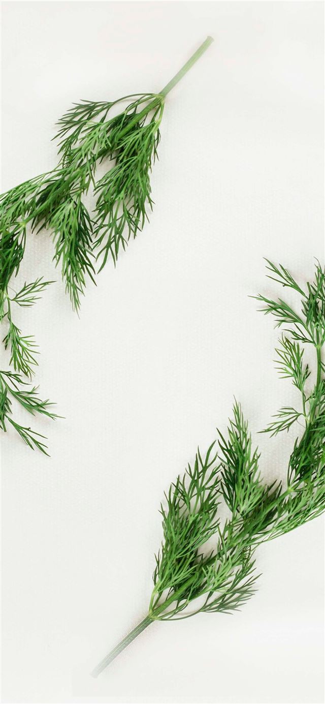 1125x2436 green leafed plants on white background - white iPhone 11 Wallpaper