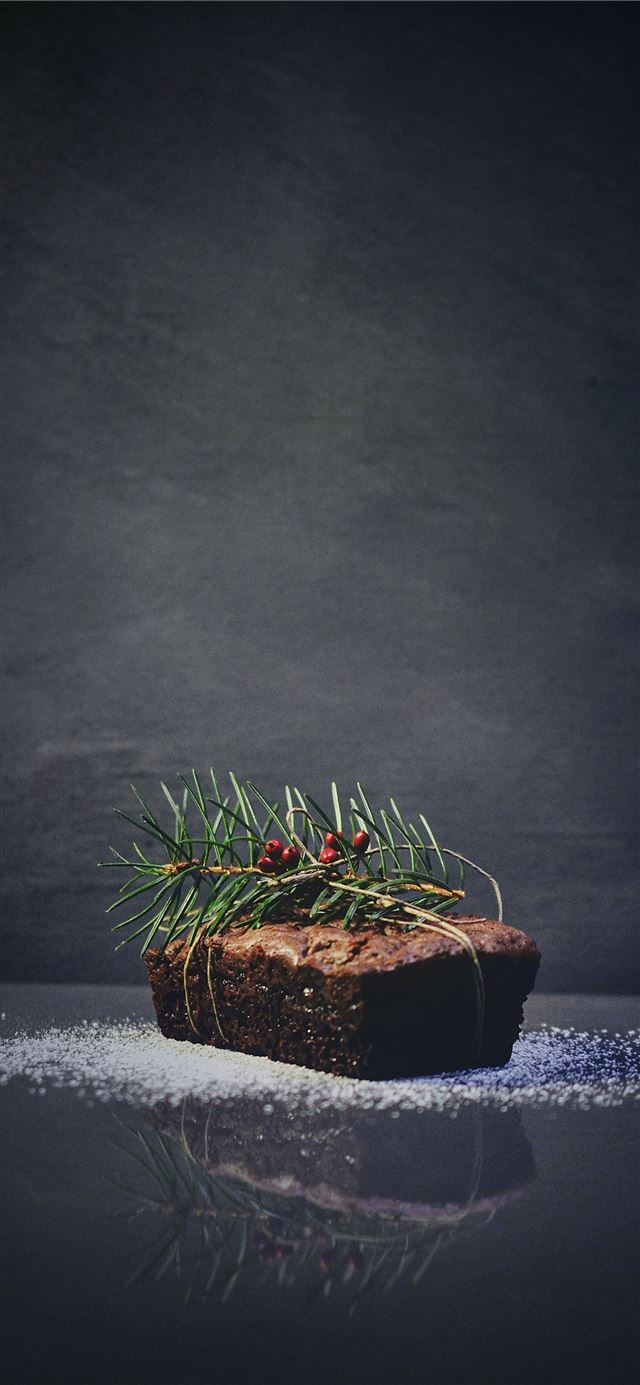 1125x2436 green plants on baked bread - winter iPhone 11 Wallpaper