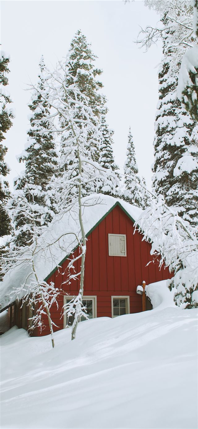 1125x2436 snow covered wooden house during daytime - winter iPhone 11 Wallpaper