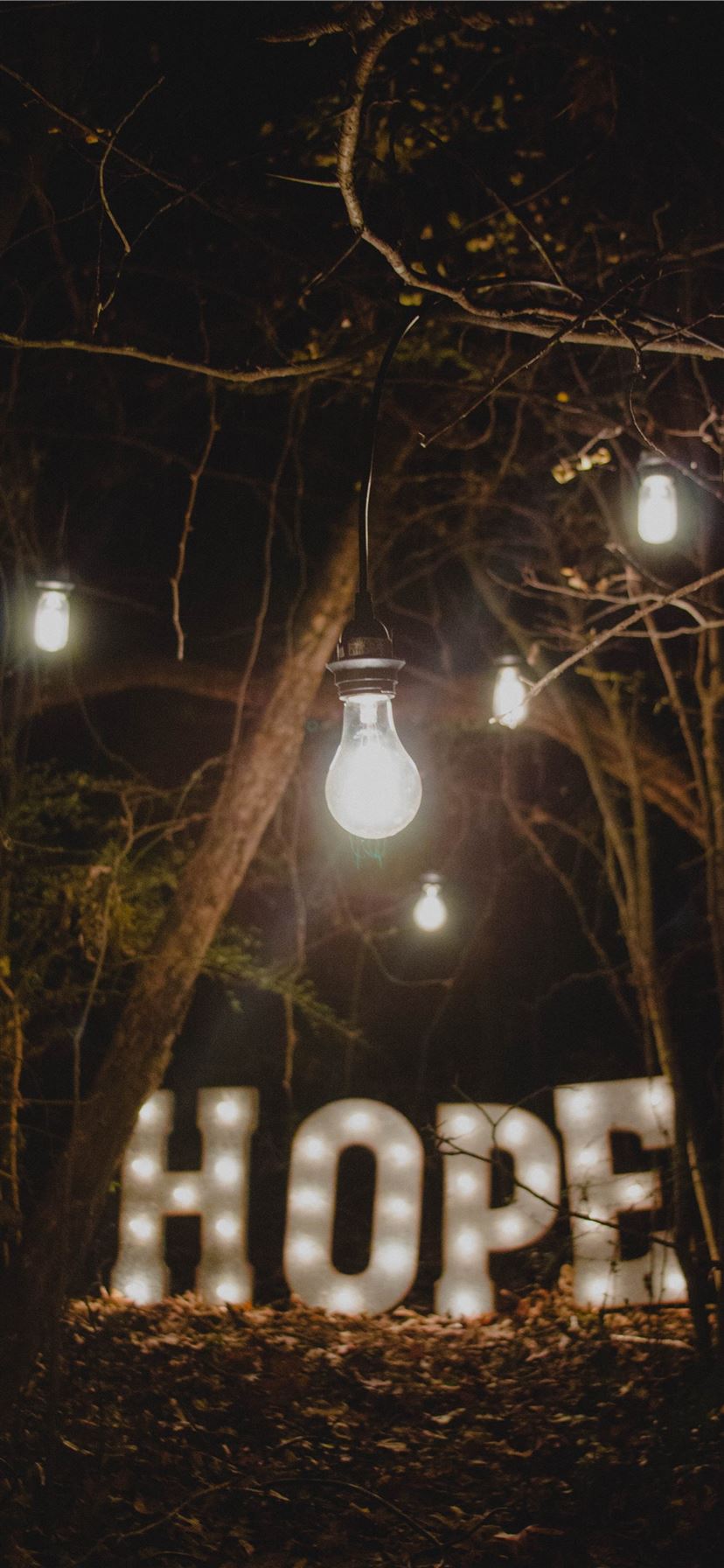 hope marquee signage surrounded by trees iPhone 11 wallpaper 