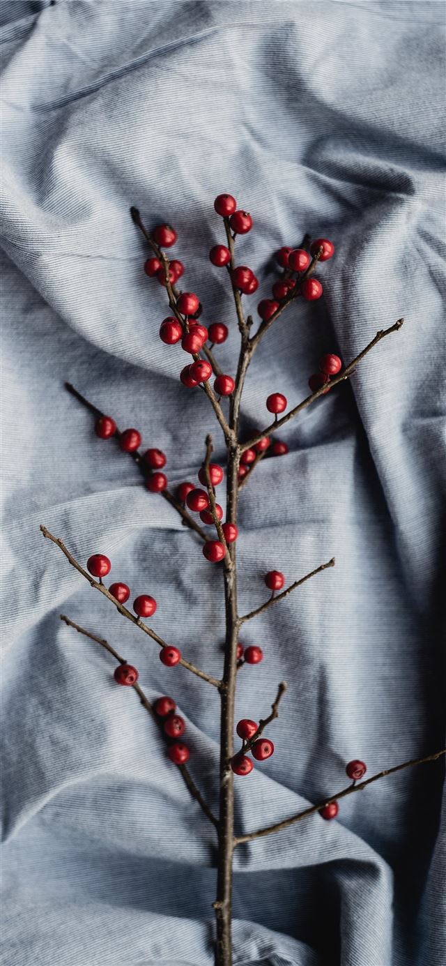 1125x2436 round red fruits - christmas iPhone 11 Wallpaper
