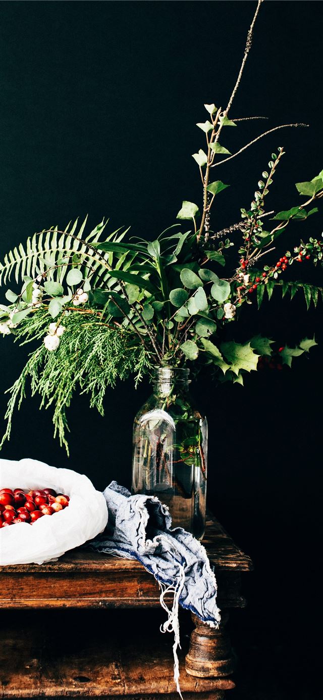 1125x2436 green leafed plant on clear glass bottle on top of... - life iPhone 11 Wallpaper
