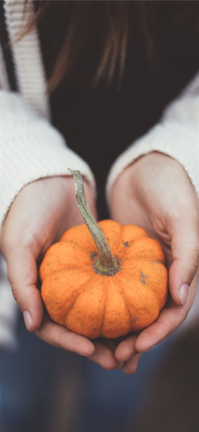 1125x2436 person holding pumpkin - thanksgiving iPhone 11 Wallpaper
