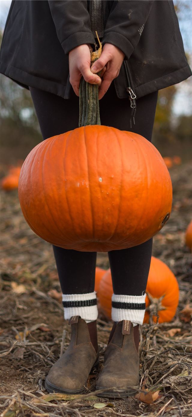 1125x2436 child carrying orange pumpkin - thanksgiving iPhone 11 Wallpaper