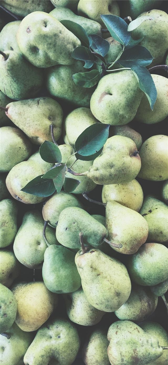 1125x2436 bunch of gourd fruits - thanksgiving iPhone 11 Wallpaper