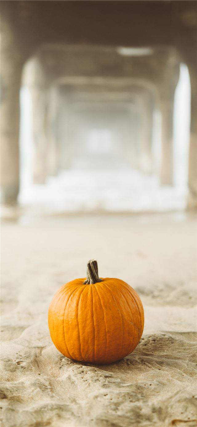 1125x2436 orange pumpkin on surface - thanksgiving iPhone 11 Wallpaper