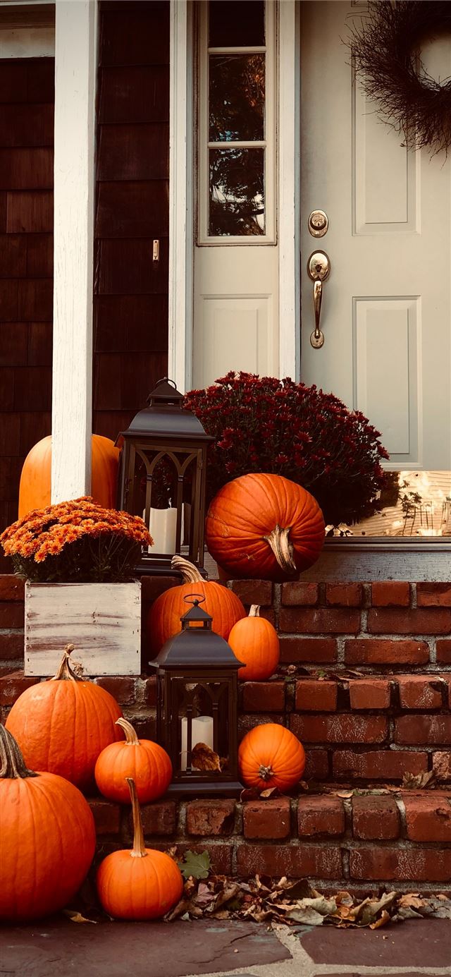 1125x2436 pumpkins on stairs - thanksgiving iPhone 11 Wallpaper