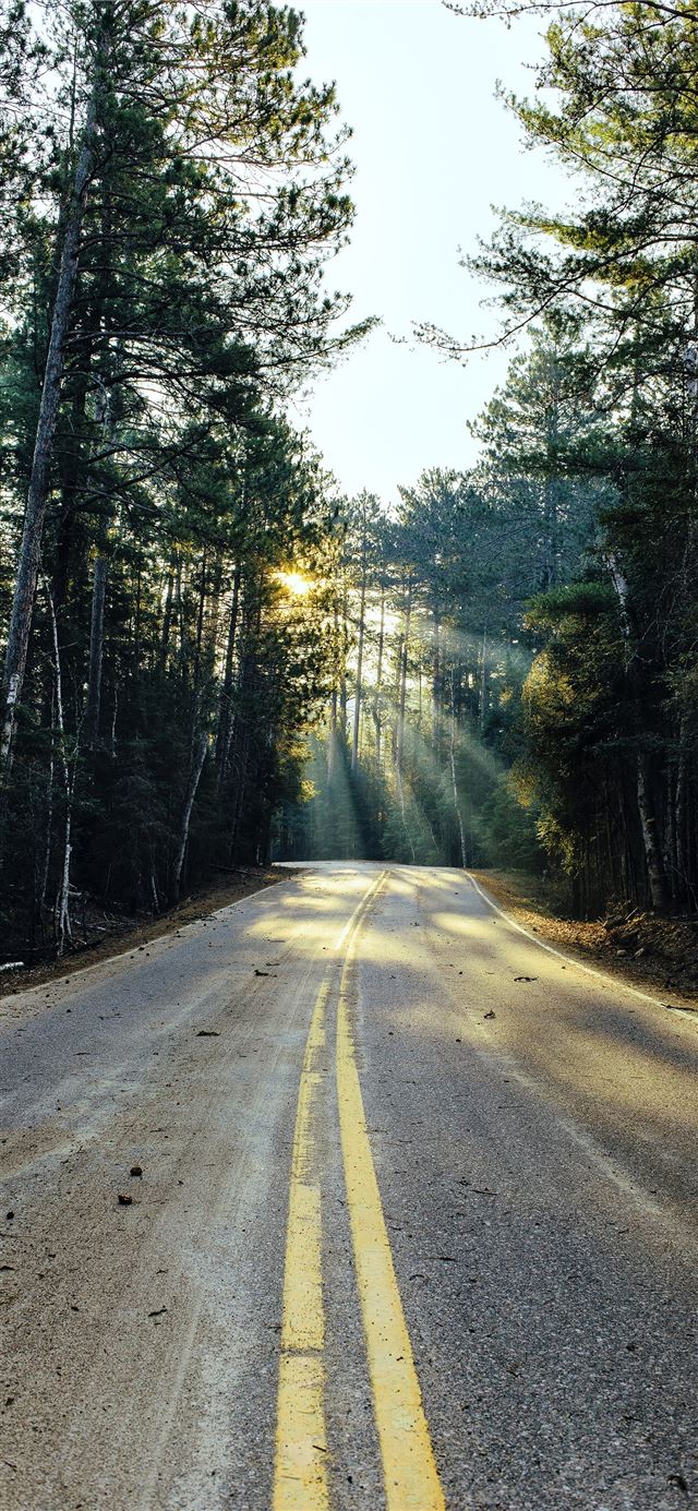 1125x2436 road surrounded with trees - united states iPhone 11 Wallpaper