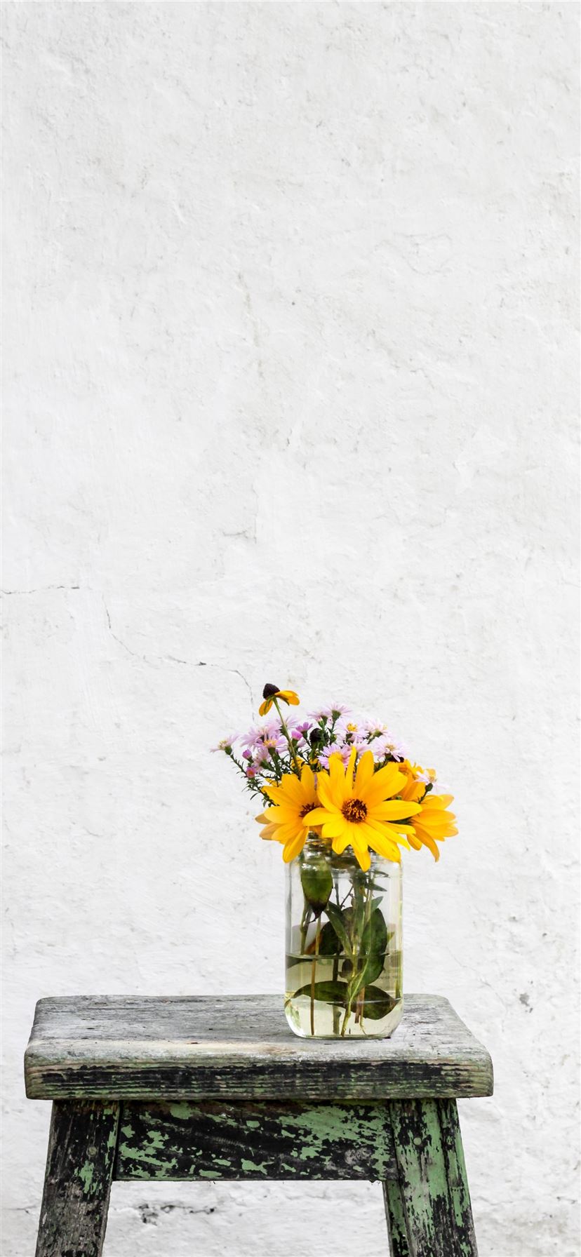 sunflower with clear glass vase on gray table iPhone 11 wallpaper 