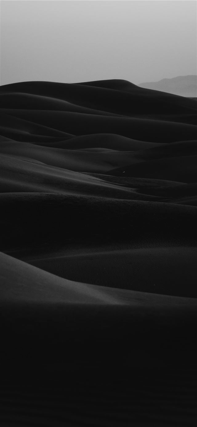 1125x2436 grayscale photo of desert - black iPhone 11 Wallpaper
