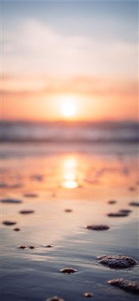 reflection of sunset on beachshore iPhone 11 wallpaper