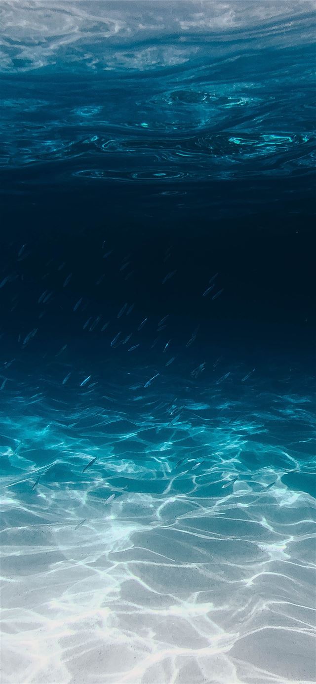 1125x2436 blue and clear body of water - water iPhone 11 Wallpaper