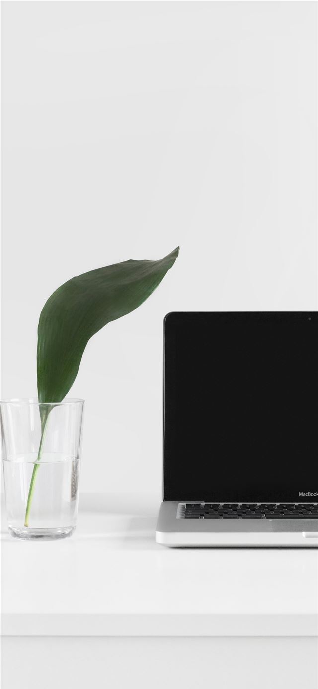 1125x2436 MacBook Pro beside plant in vase -  iPhone 11 Wallpaper