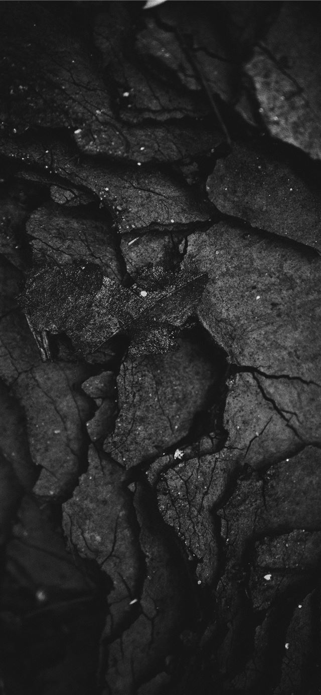 1125x2436 grayscale photography of rock formation - grey iPhone 11 Wallpaper