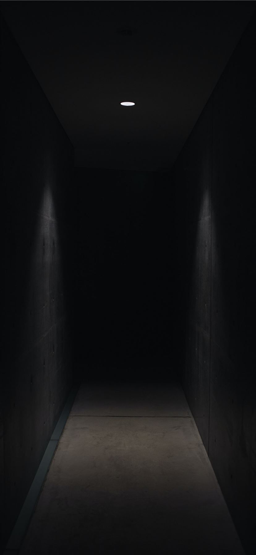 dark pathway lit with small light fixture iPhone 11 wallpaper 