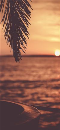 silhouette of tree with body of water background iPhone 11 wallpaper