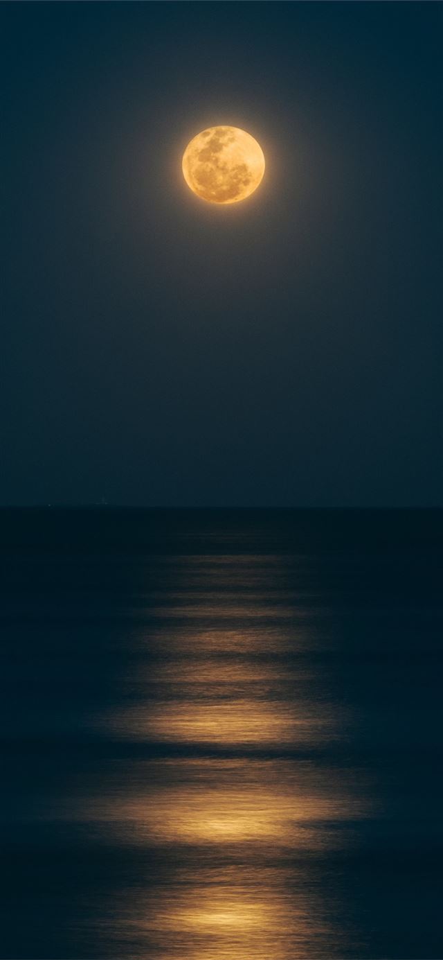 1125x2436 sea under full moon - night iPhone 11 Wallpaper