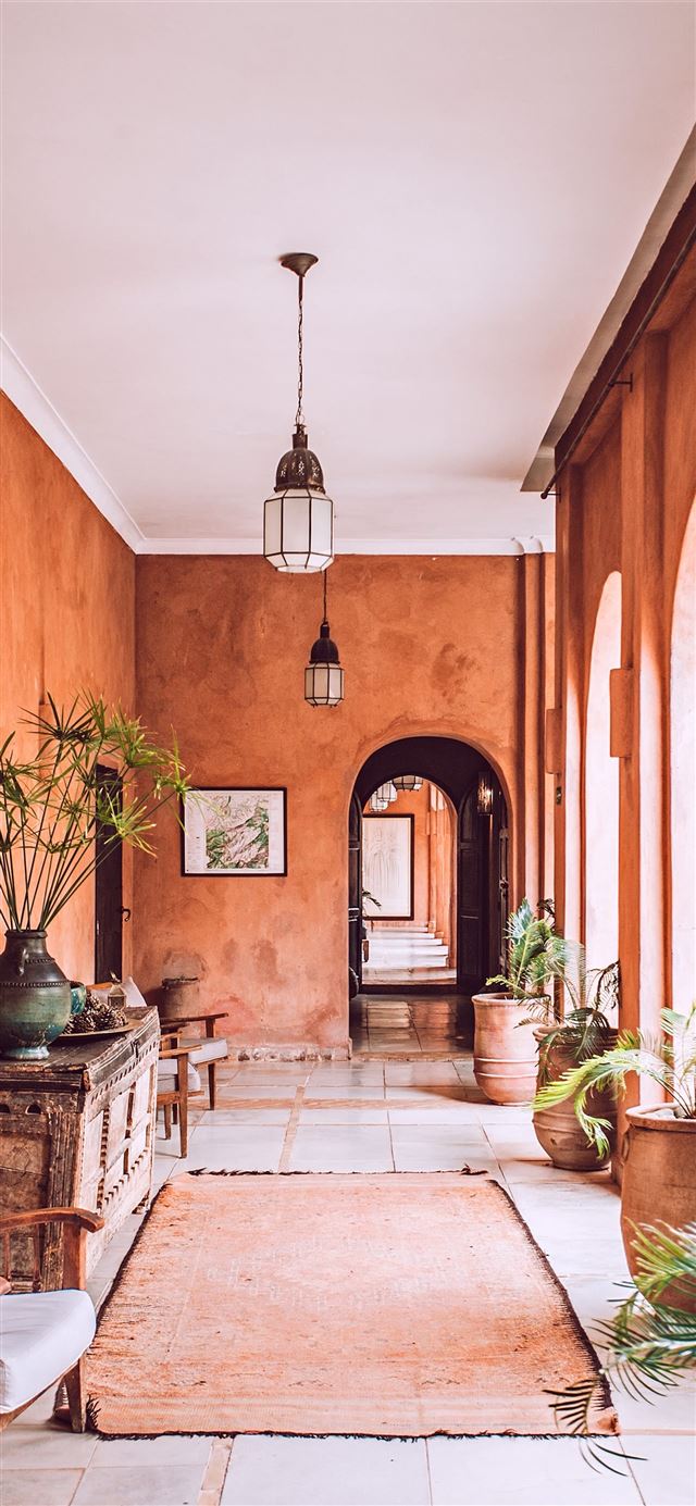 1125x2436 planters with plant near area rug inside room - morocco iPhone 11 Wallpaper