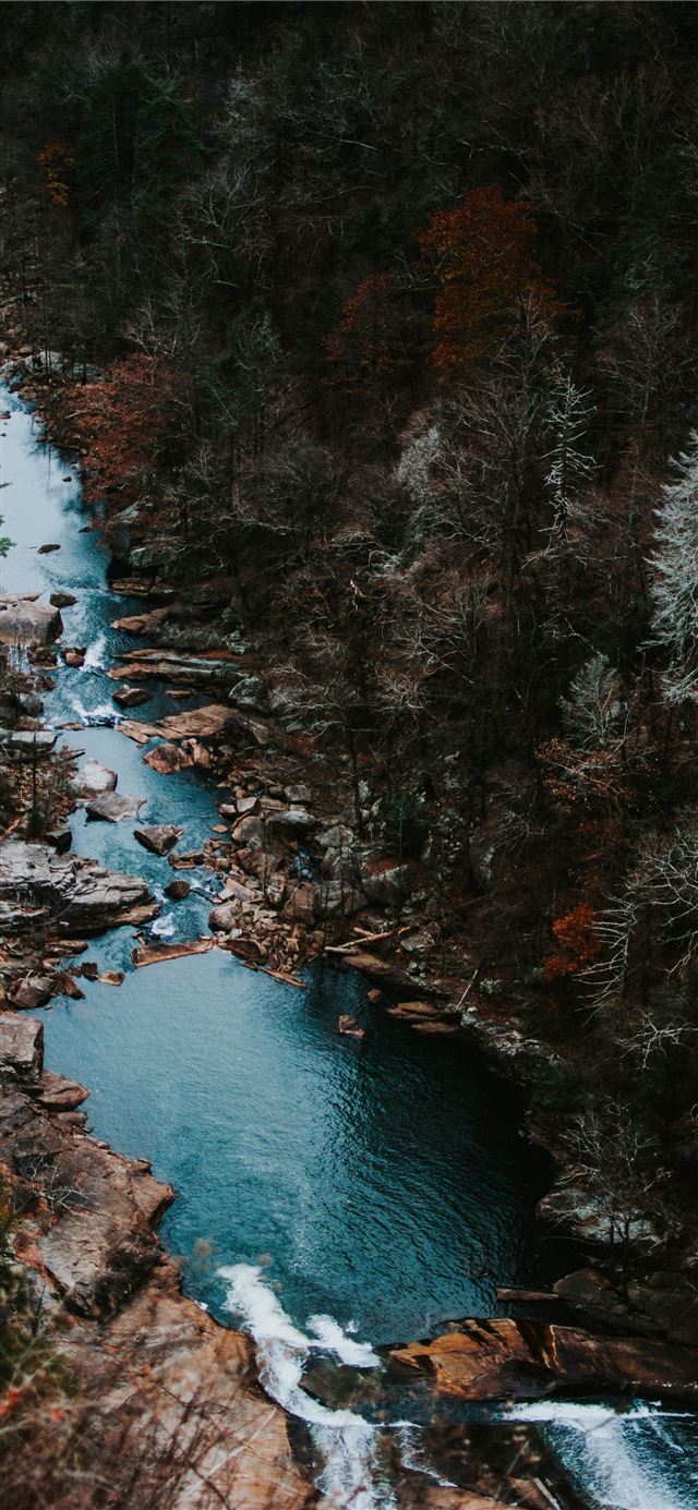 1125x2436 aerial photography of body of water with trees aro... - landscape iPhone 11 Wallpaper