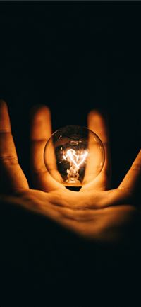 clear glass bulb on human palm wallpaper