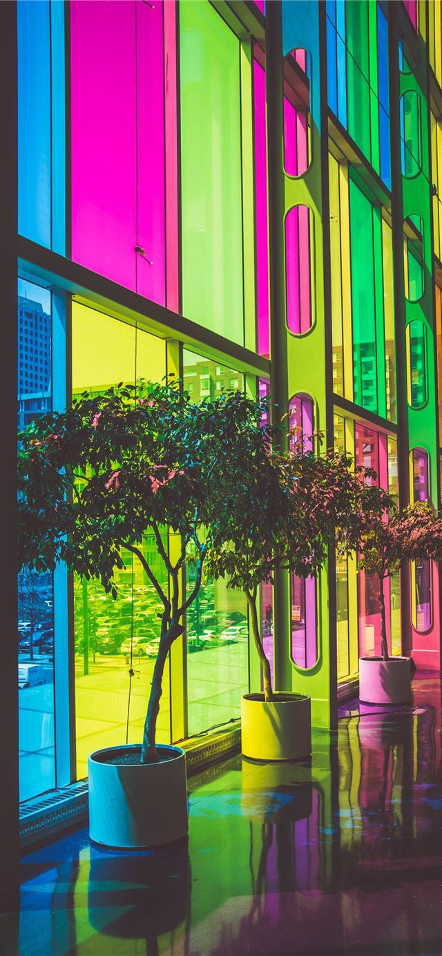 1125x2436 photo of green leafed plants inside building - colorful iPhone 11 Wallpaper