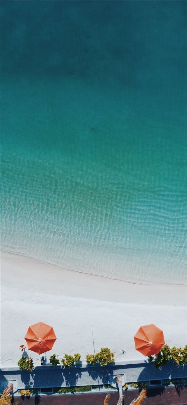 1125x2436 aerial photography of four orange patio umbrellas ... - green iPhone 11 Wallpaper